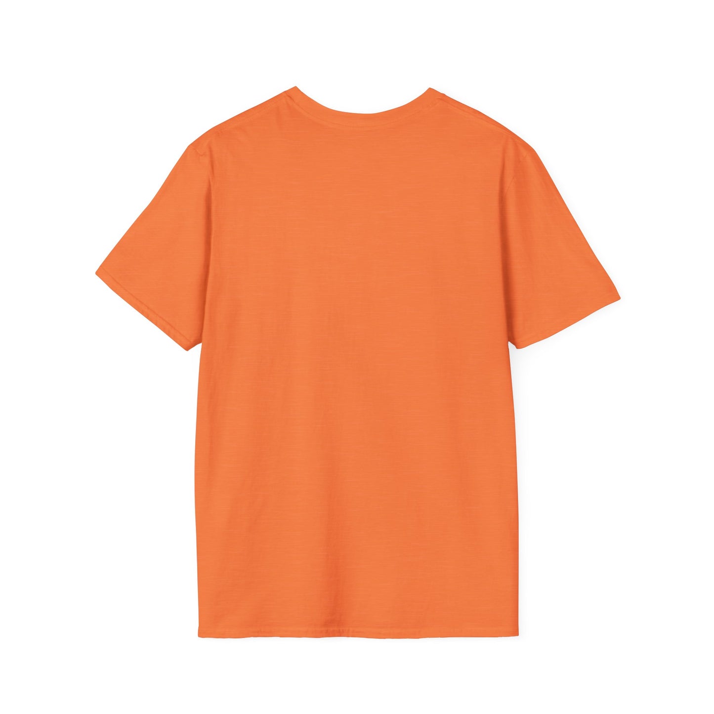 Baby Tiger Pirate Tee