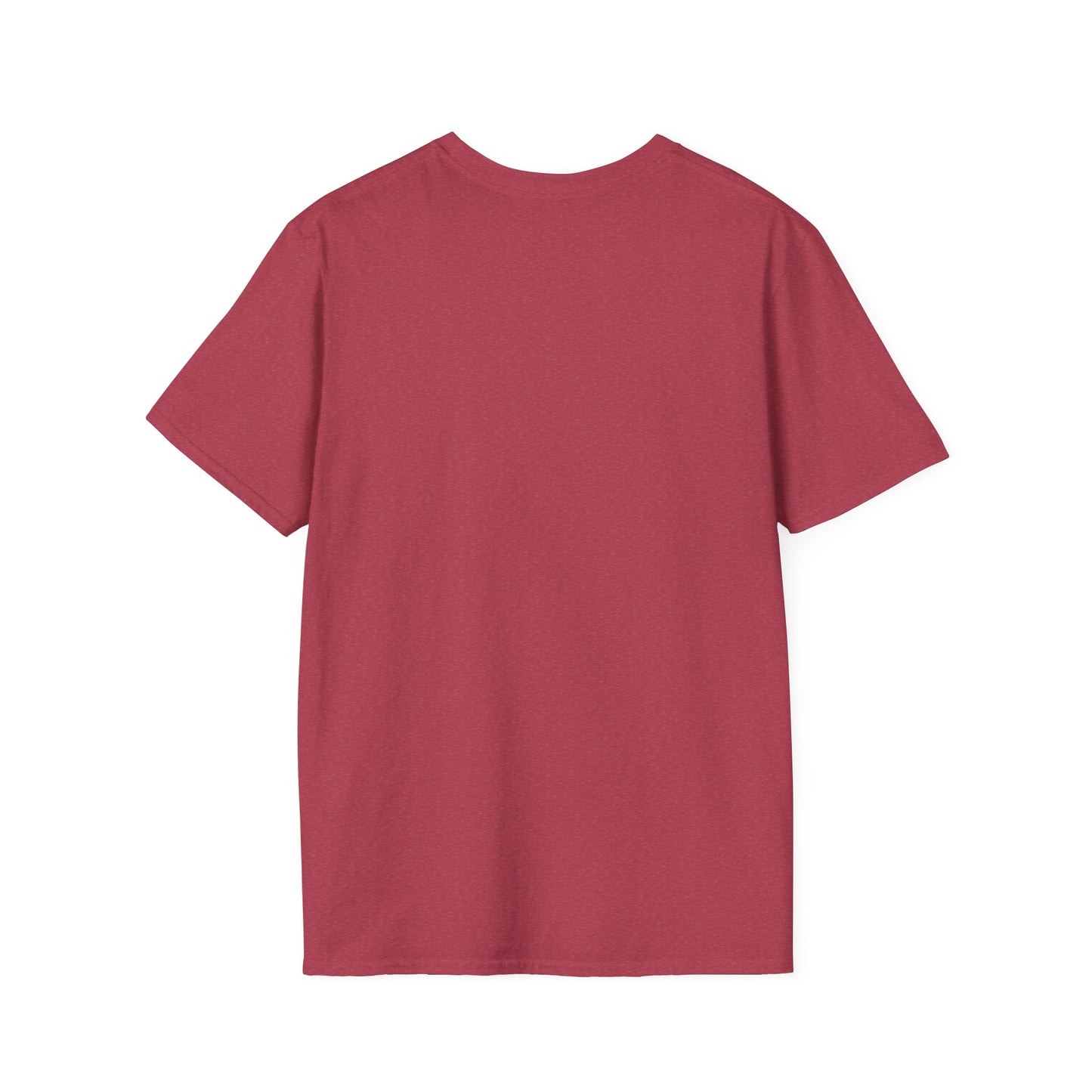 Baby Tiger Pirate Tee