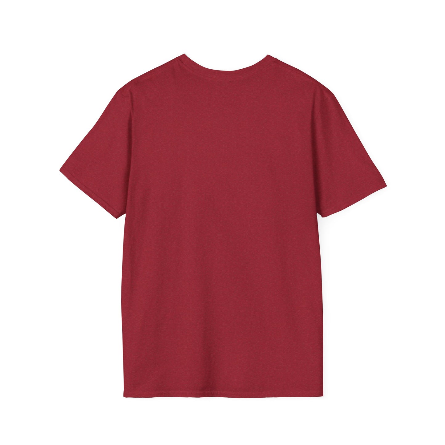 Baby Tiger Pirate Tee